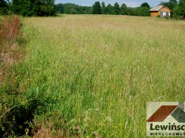 Działka inna Budy-Grzybek
