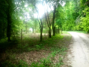 Działka budowlana Rudka