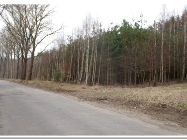 Działka rolna Rydzewo