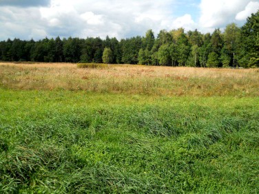 Działka budowlana Tworóg