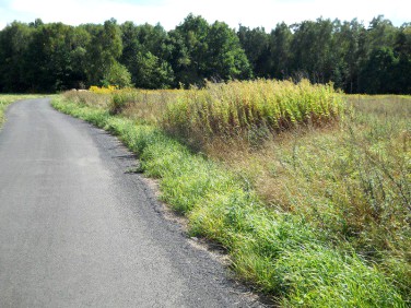 Działka budowlana Tworóg