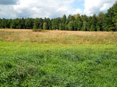 Działka budowlana Tworóg
