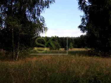 Działka budowlana Przylep