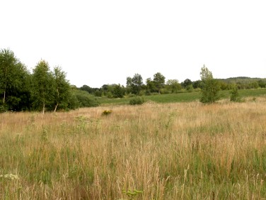 Działka rekreacyjna Dąbki