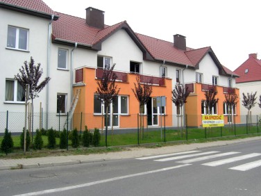 Dom Dębno sprzedaż