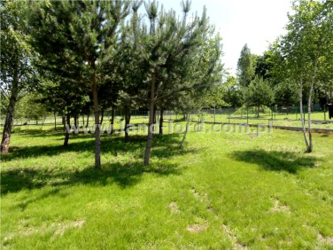 Ogrodzona działka sprzedam