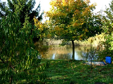 Działka Pobiedziska