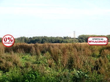 Działka rolna Wrzosowo
