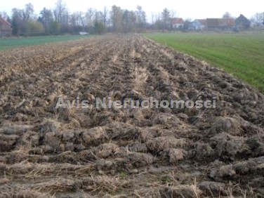 Działka Lutomia Dolna