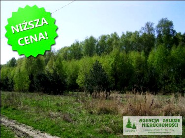 Działka budowlana Baszkówka